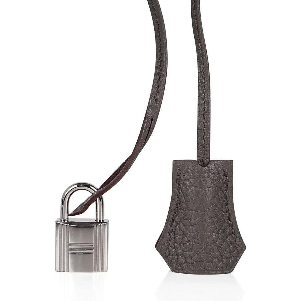 Birkin 35 Bag Etain Togo Leather with Palladium Hardware