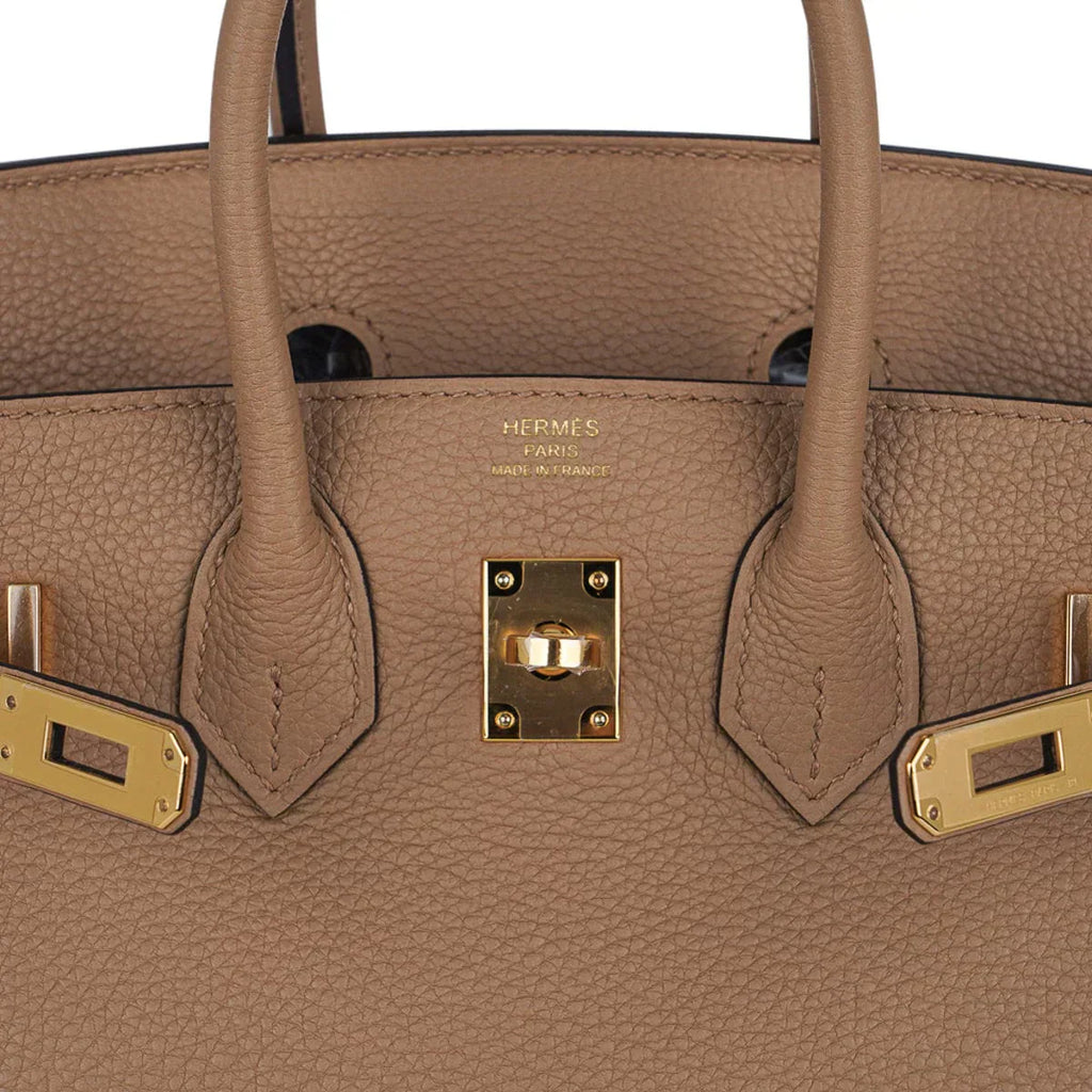 Birkin 25 Bag in Chai Togo Leather with Gold Hardware